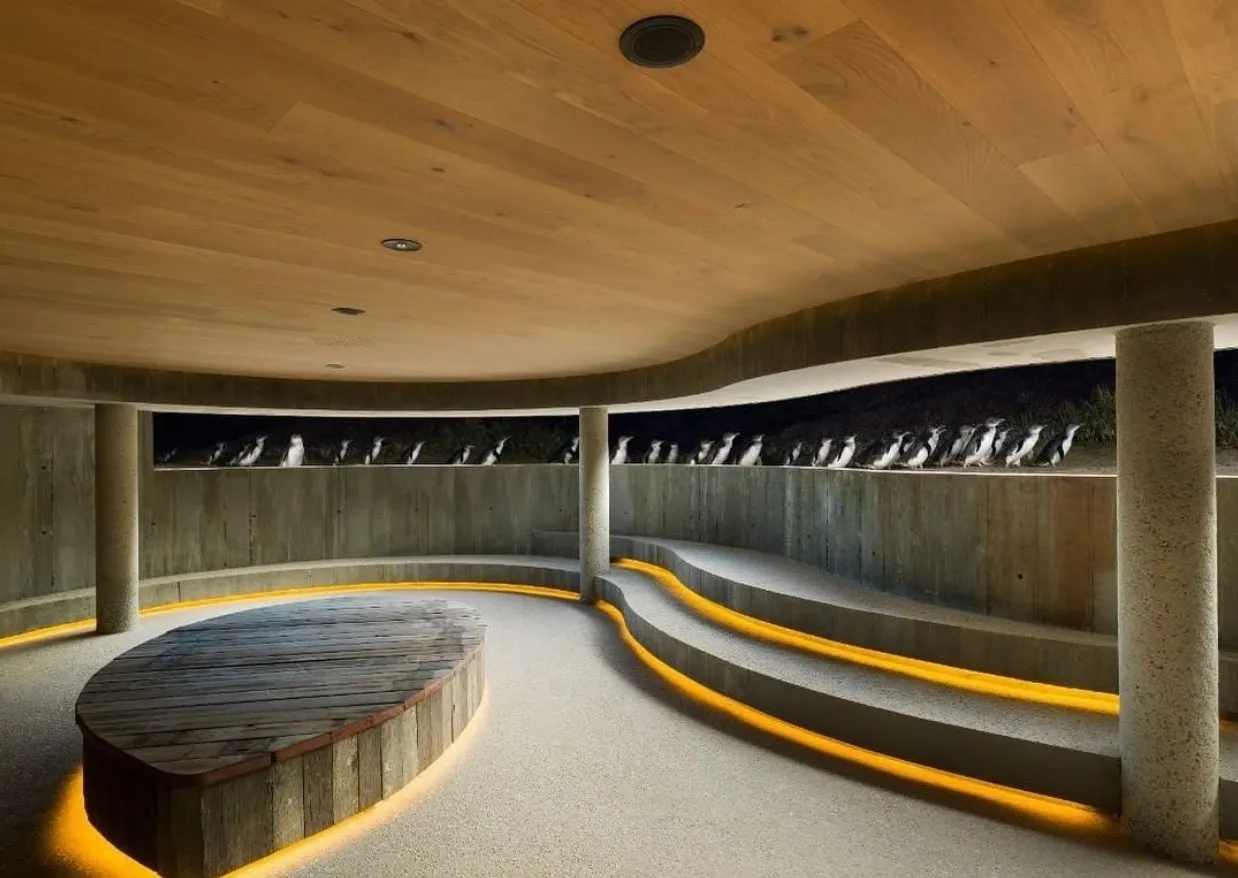 phillip island things to do