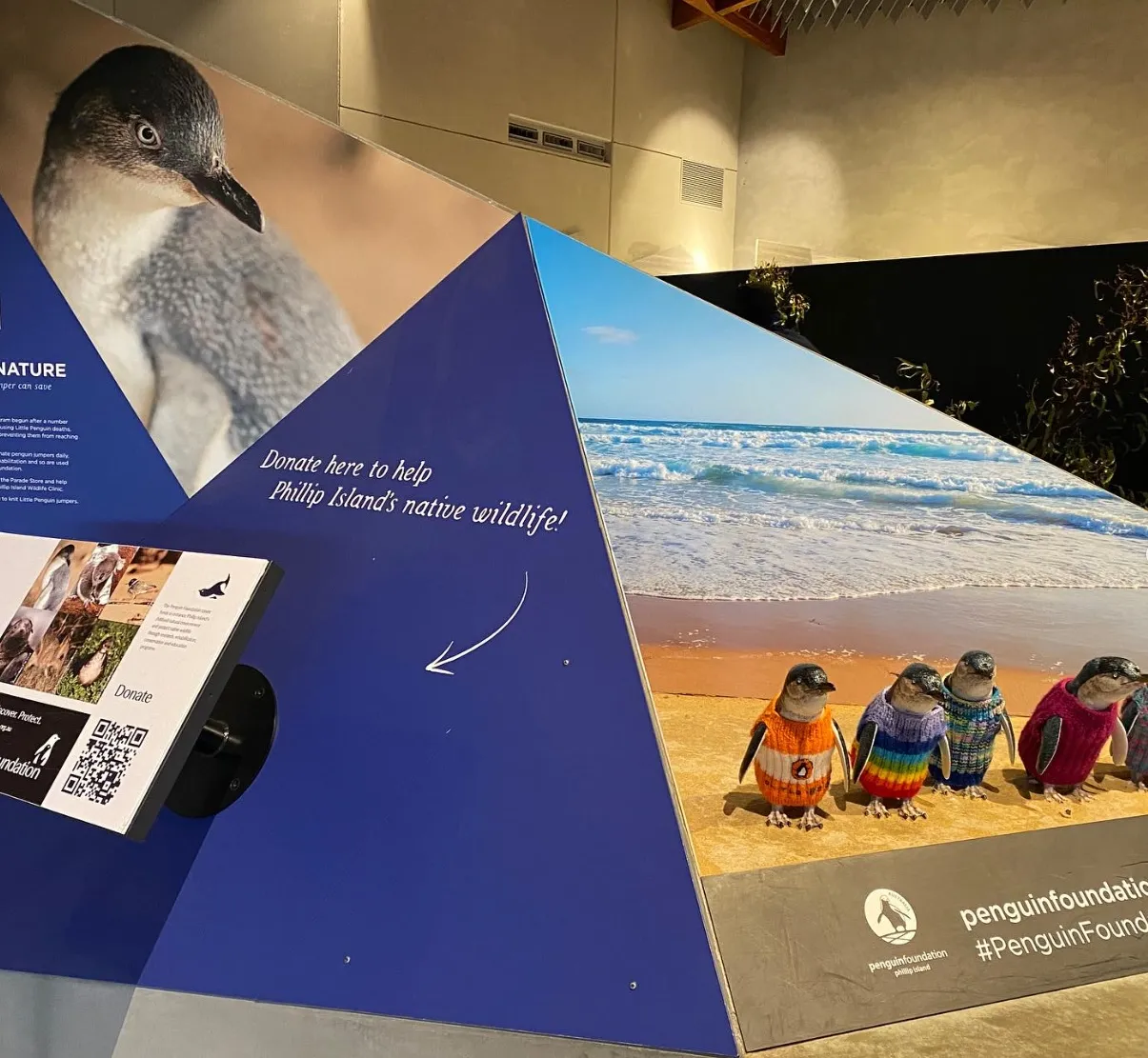 things to do in philip island