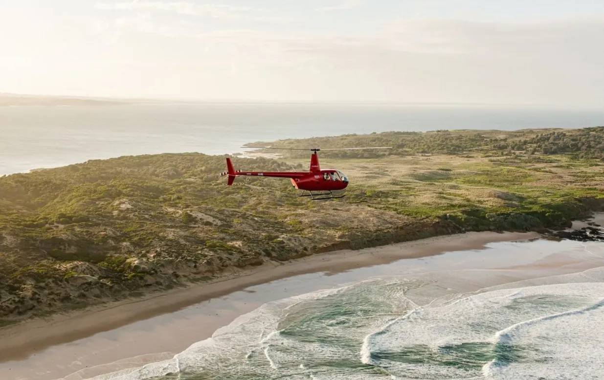 things to do in phillip island today