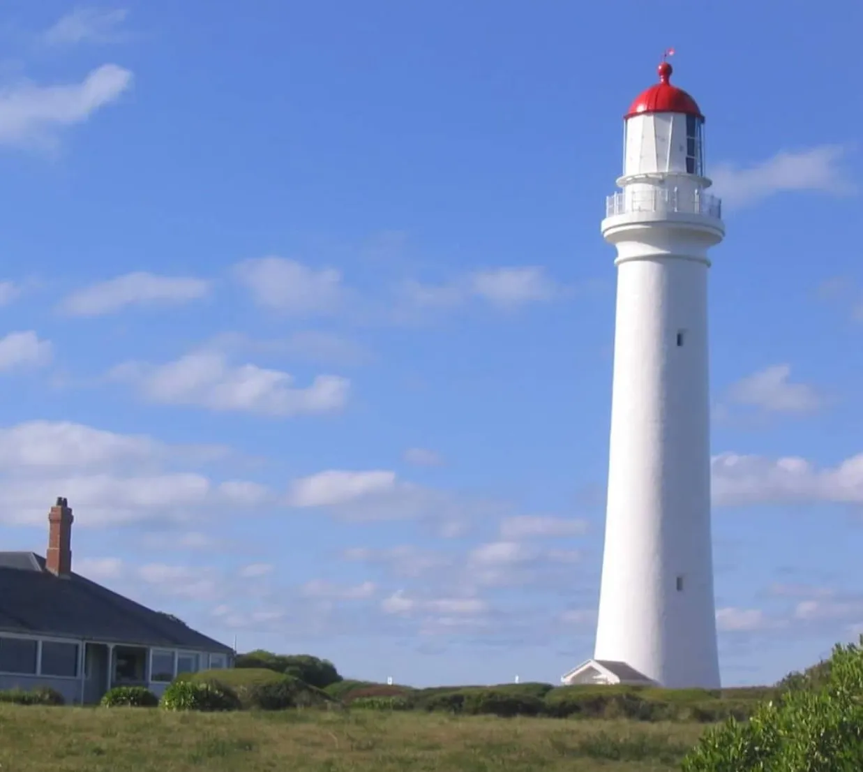 things to do on great ocean road