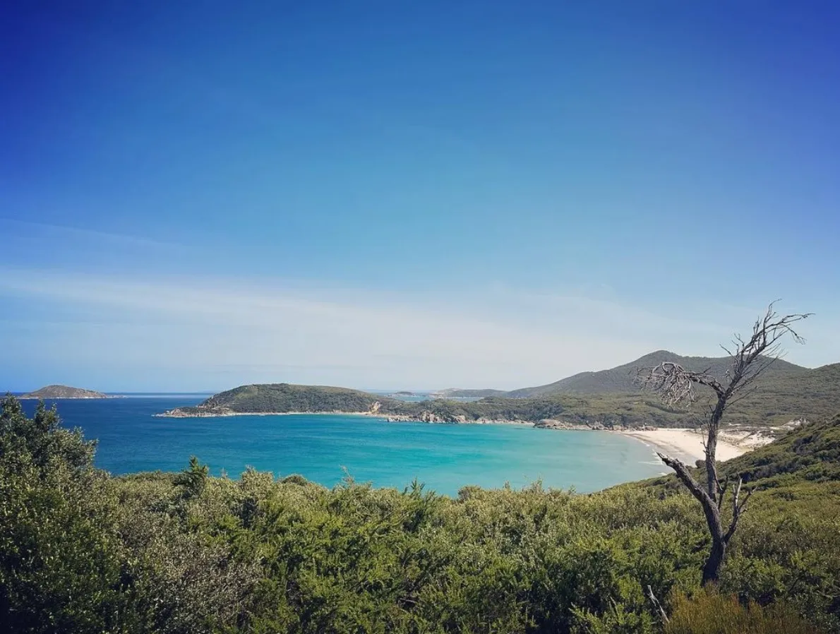 things to do on phillip island victoria