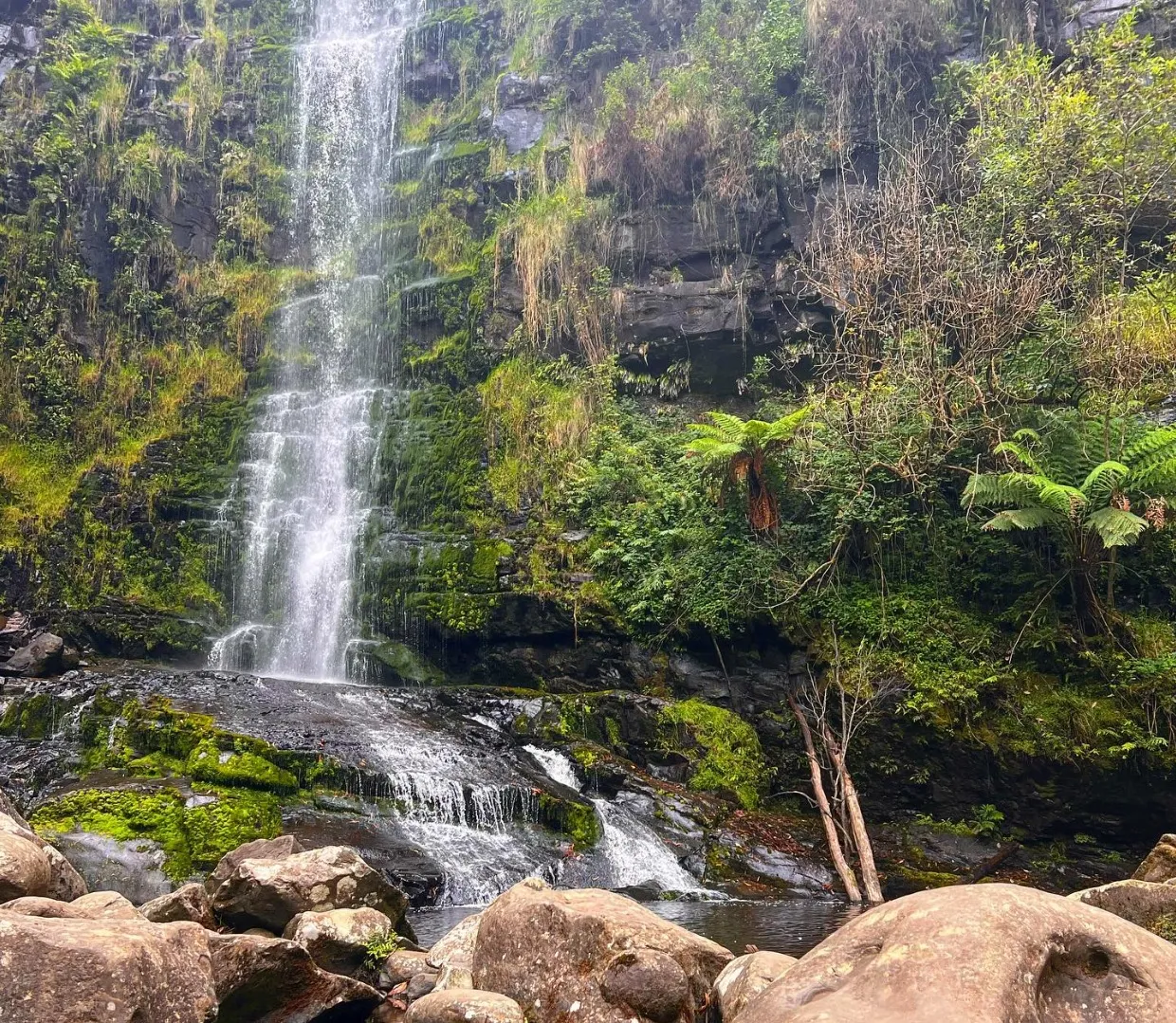 things to do on the great ocean road