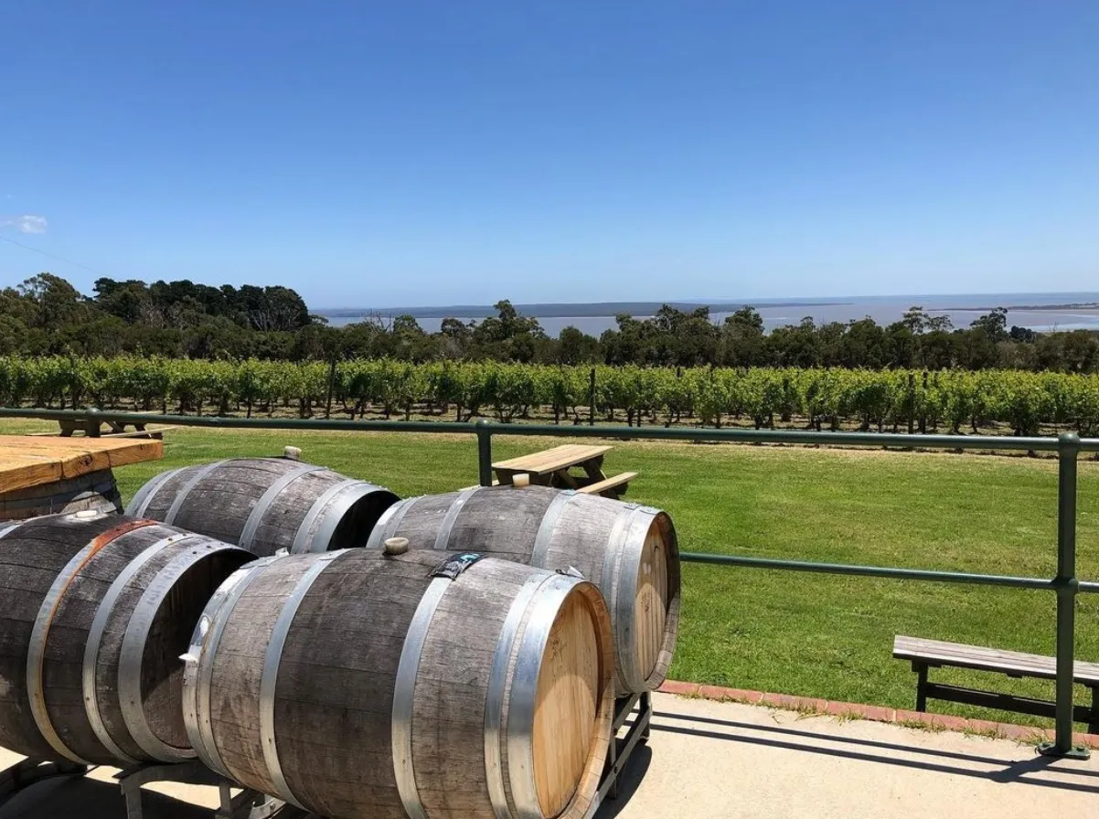 things to see in phillip island