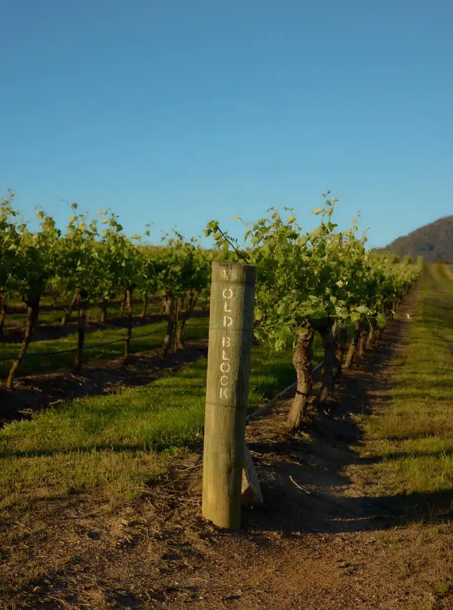 wine History