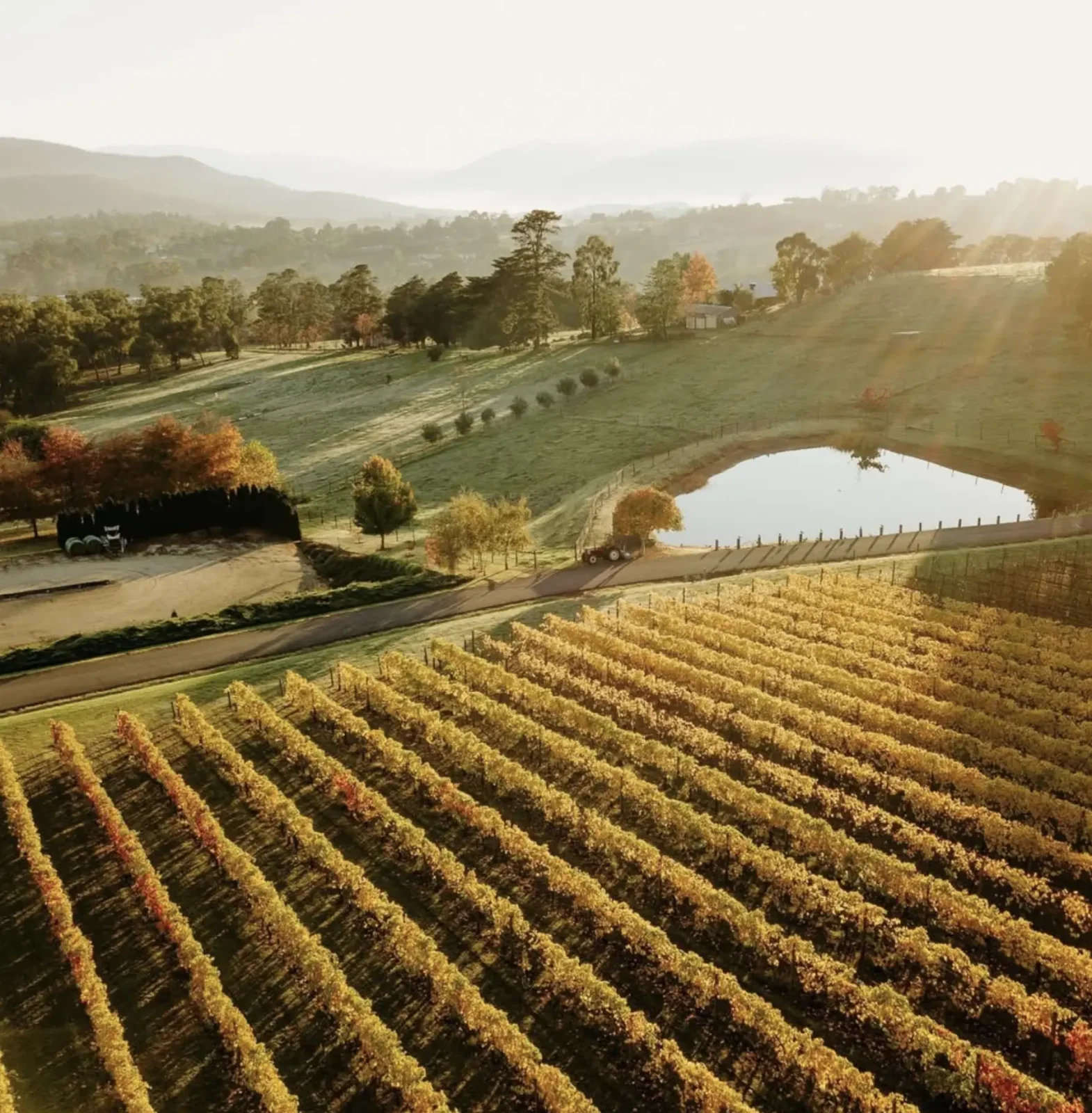 yarra valley wine tours