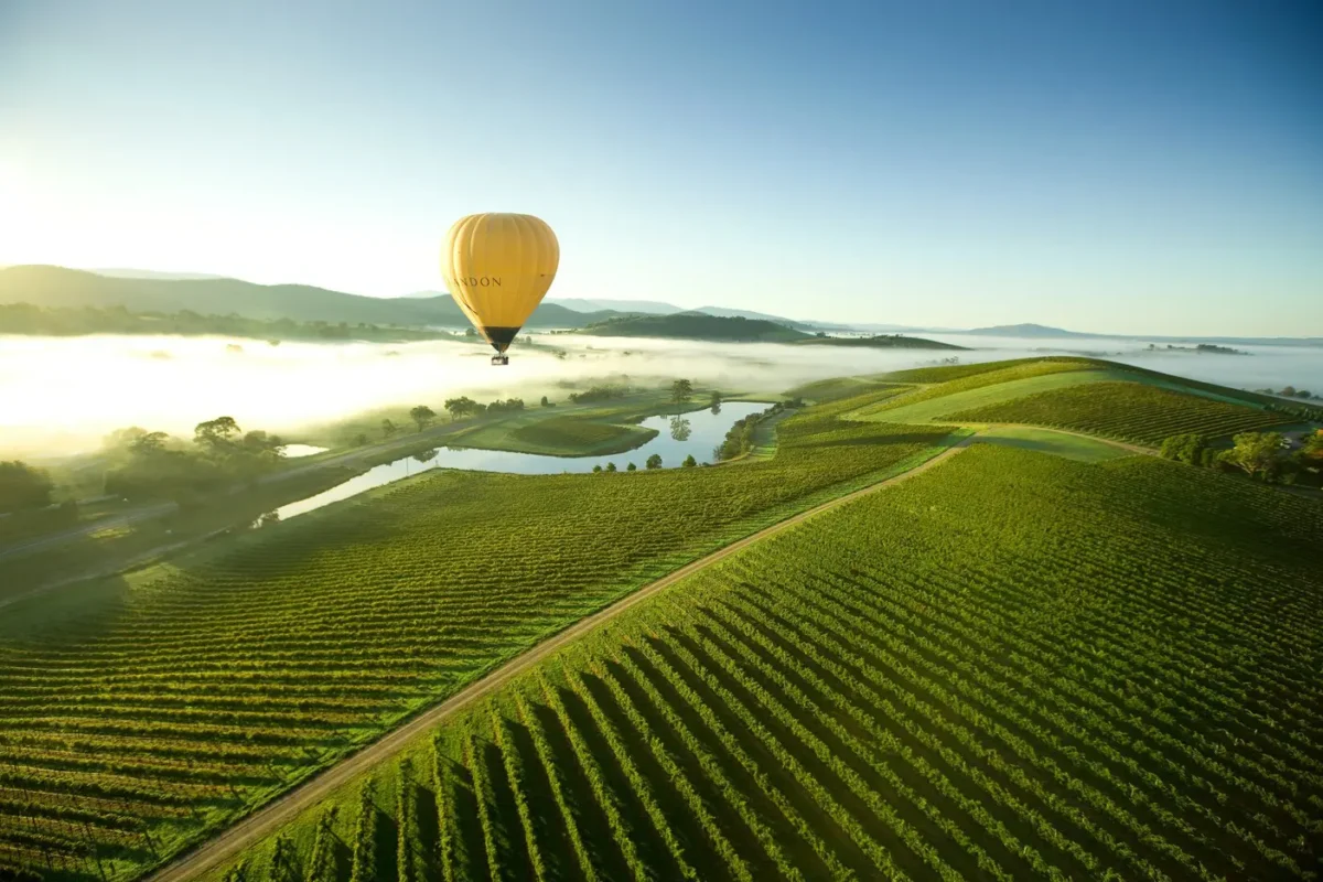 yarra valley wineries tour